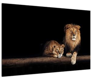 Slika - Lev in levinja (90x60 cm)