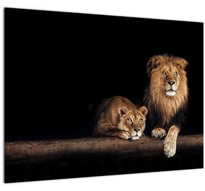 Slika - Lev in levinja (70x50 cm)