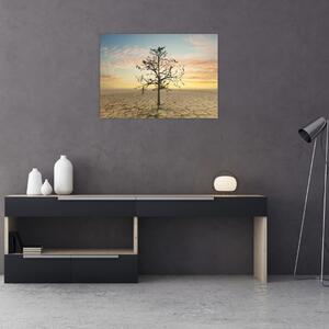 Slika - Drevo v puščavi (70x50 cm)