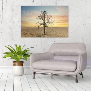 Slika - Drevo v puščavi (90x60 cm)