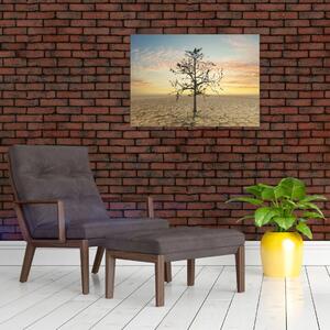 Slika - Drevo v puščavi (70x50 cm)