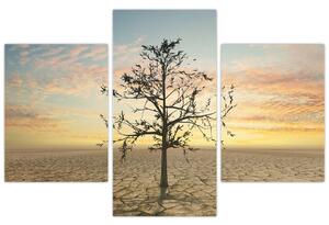 Slika - Drevo v puščavi (90x60 cm)