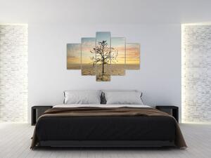 Slika - Drevo v puščavi (150x105 cm)