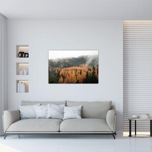 Slika - Jesenski gozd (90x60 cm)