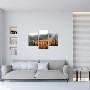 Slika - Jesenski gozd (90x60 cm)
