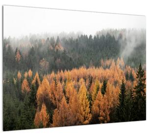 Slika - Jesenski gozd (70x50 cm)