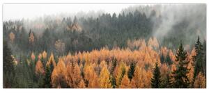 Slika - Jesenski gozd (120x50 cm)