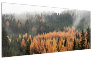 Slika - Jesenski gozd (120x50 cm)