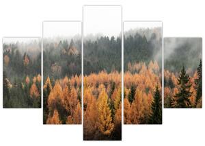 Slika - Jesenski gozd (150x105 cm)