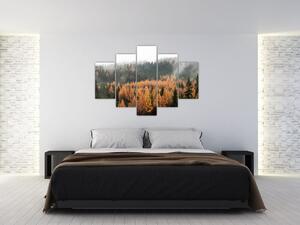 Slika - Jesenski gozd (150x105 cm)