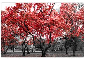 Slika - Rdeča drevesa, Central Park, New York (90x60 cm)