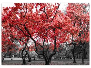 Slika - Rdeča drevesa, Central Park, New York (70x50 cm)