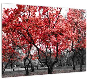 Staklena slika - Rdeča drevesa, Central Park, New York (70x50 cm)