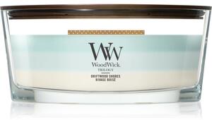 Woodwick Trilogy Driftwood Shores mirisna svijeća s drvenim fitiljem 453.6 g