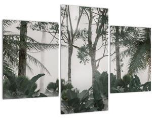 Slika - Džungla v jutranji megli (90x60 cm)