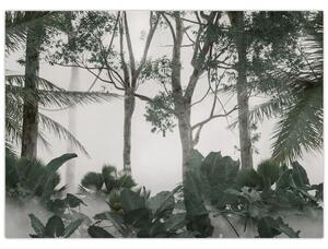 Slika - Džungla v jutranji megli (70x50 cm)