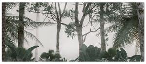 Slika - Džungla v jutranji megli (120x50 cm)