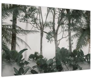 Slika - Džungla v jutranji megli (90x60 cm)