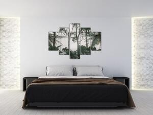 Slika - Džungla v jutranji megli (150x105 cm)