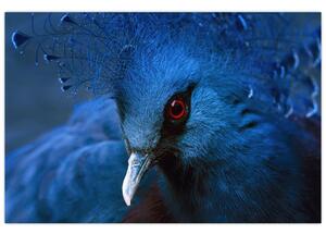 Slika - Kronasti golob (90x60 cm)