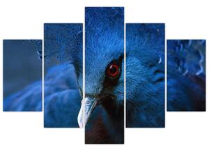 Slika - Kronasti golob (150x105 cm)