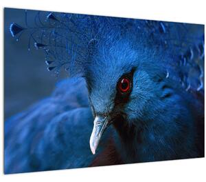 Slika - Kronasti golob (90x60 cm)