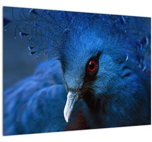Slika - Kronasti golob (70x50 cm)