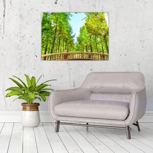Slika - Pogled na gozd (70x50 cm)