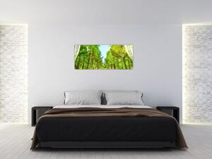 Slika - Pogled na gozd (120x50 cm)