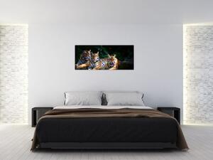 Slika - Tiger bratje (120x50 cm)
