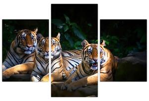 Slika - Tiger bratje (90x60 cm)