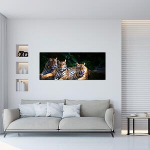 Slika - Tiger bratje (120x50 cm)