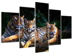Slika - Tiger bratje (150x105 cm)