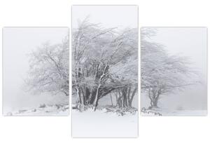 Slika - Bela zima (90x60 cm)
