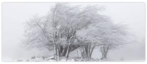 Slika - Bela zima (120x50 cm)