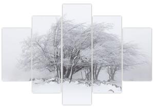 Slika - Bela zima (150x105 cm)