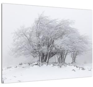Slika - Bela zima (70x50 cm)