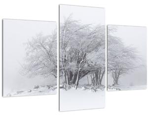Slika - Bela zima (90x60 cm)