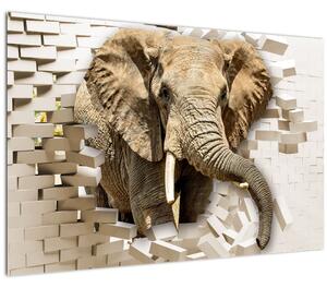 Slika - Slon prebija zid (90x60 cm)