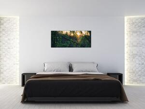 Slika sunca koje sja kroz grančice drveća (120x50 cm)