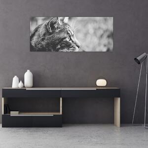 Slika - Mačka (120x50 cm)