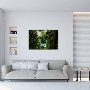 Slika - Pogled između stabala (90x60 cm)