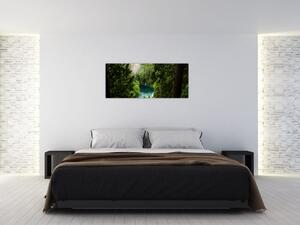 Slika - Pogled između stabala (120x50 cm)