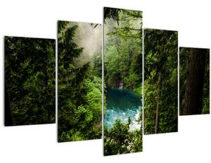 Slika - Pogled između stabala (150x105 cm)