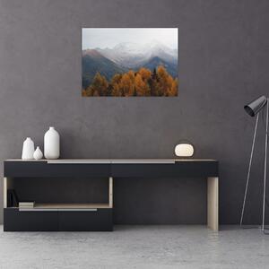 Slika - Pogled na planinske grebene (70x50 cm)