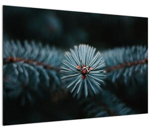 Slika grančice crnogoričnog drveta (90x60 cm)