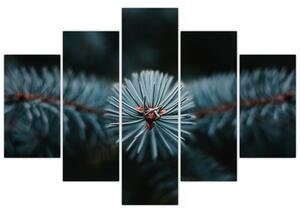 Slika grančice crnogoričnog drveta (150x105 cm)