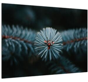 Slika grančice crnogoričnog drveta (70x50 cm)