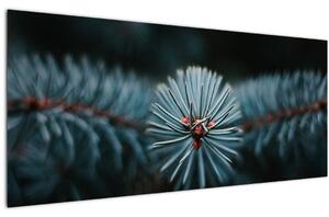Slika grančice crnogoričnog drveta (120x50 cm)