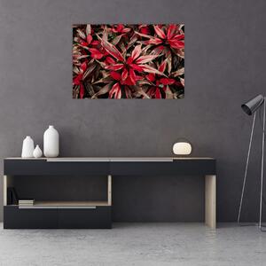 Slika crvenih latica (90x60 cm)